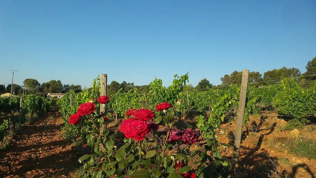 Domaine Rabiega - Vineyard And Boutique Hotel Draguignan