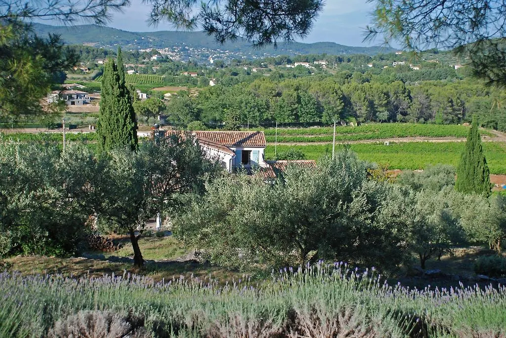 Domaine Rabiega - Vineyard And Boutique Hotel Draguignan France