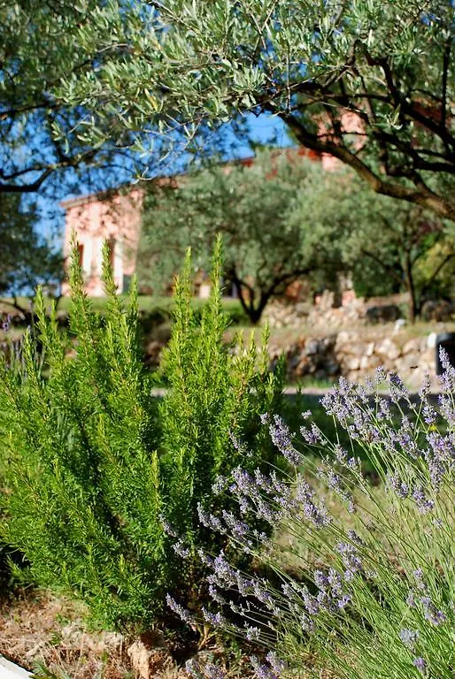 Domaine Rabiega - Vineyard And Boutique Hotel Draguignan