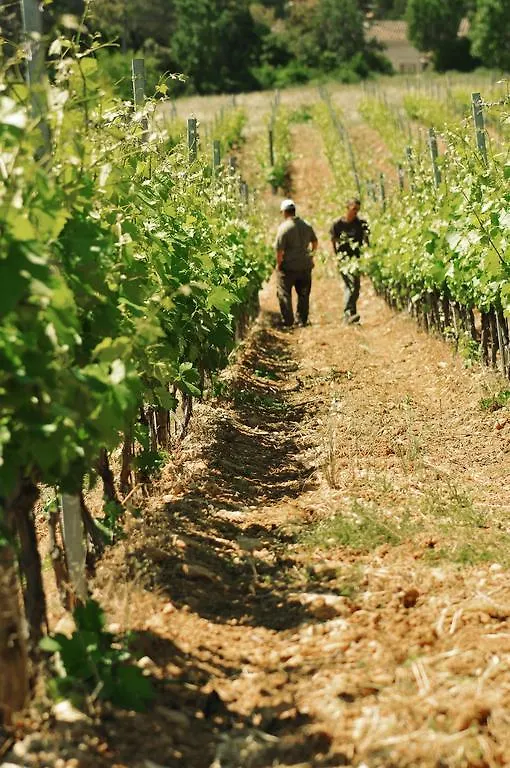 Domaine Rabiega - Vineyard And Boutique Hotel Draguignan 4*,  France